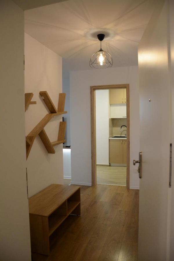 Luxury Panorama Apartament,Coresi Brassó Kültér fotó
