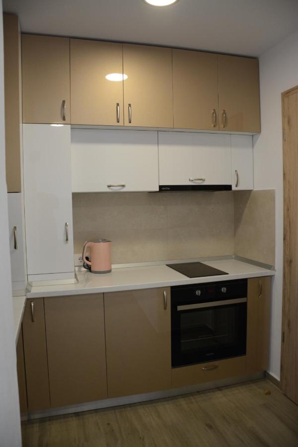 Luxury Panorama Apartament,Coresi Brassó Kültér fotó